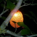 crochet-lights
