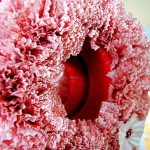 cupcake_valentine_wreath