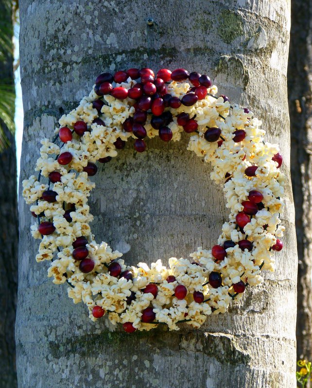 Popcorn Cranberry Wreath for Birds