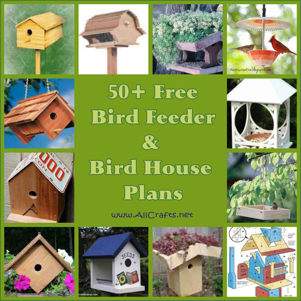 50+ Free Bird House and Bird Feeder Plans