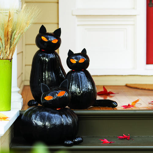 Black Cat o'Lanterns
