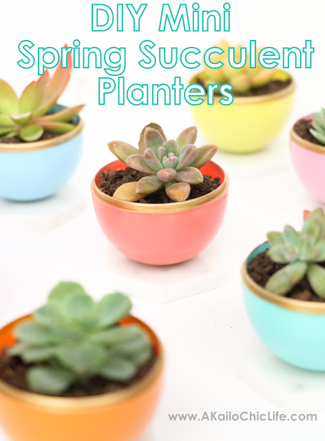 DIY Mini Spring Succulent Planters