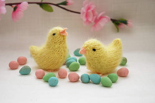 Spring Chick Knitting Pattern