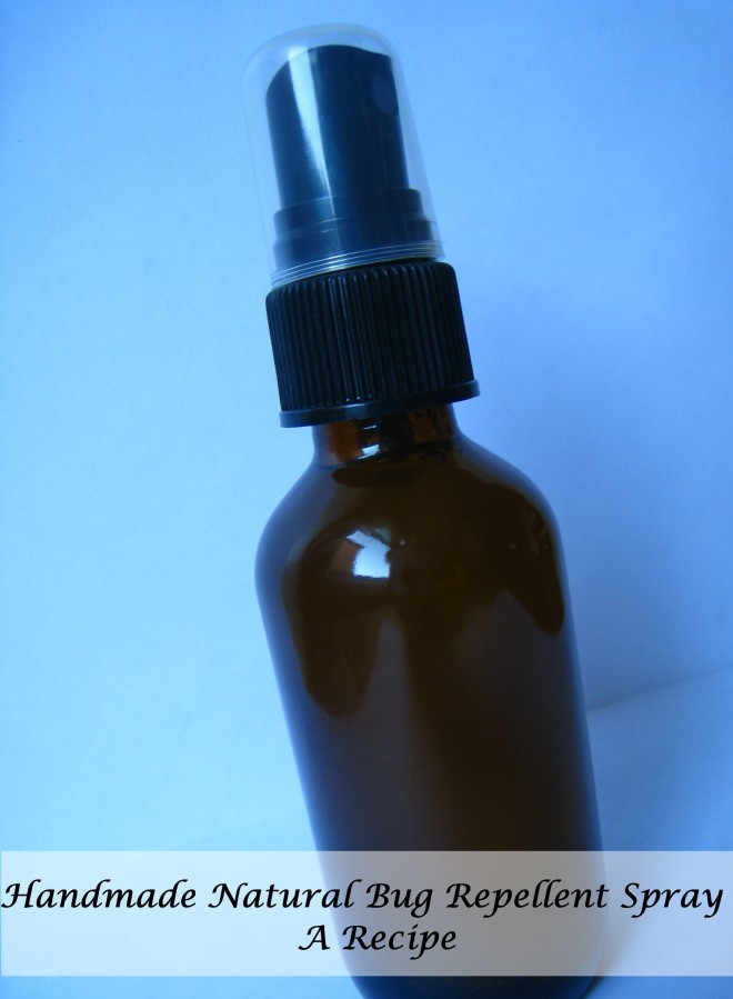 Homemade Natural Bug Repellent AllCrafts Free Crafts Update