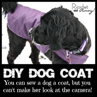 DIY Dog Coat