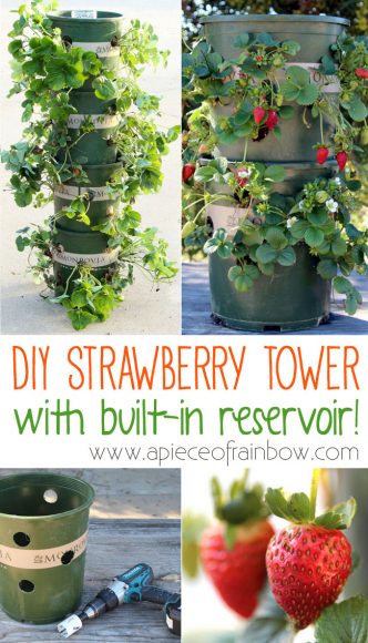 DIY Strawberry Tower