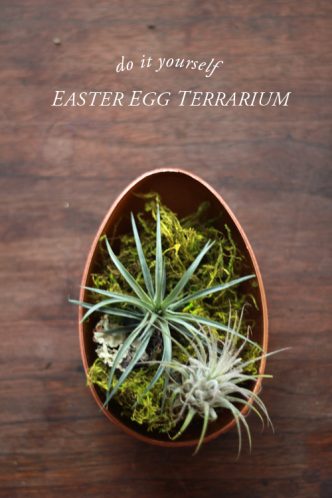 DIY Easter Egg Terrarium