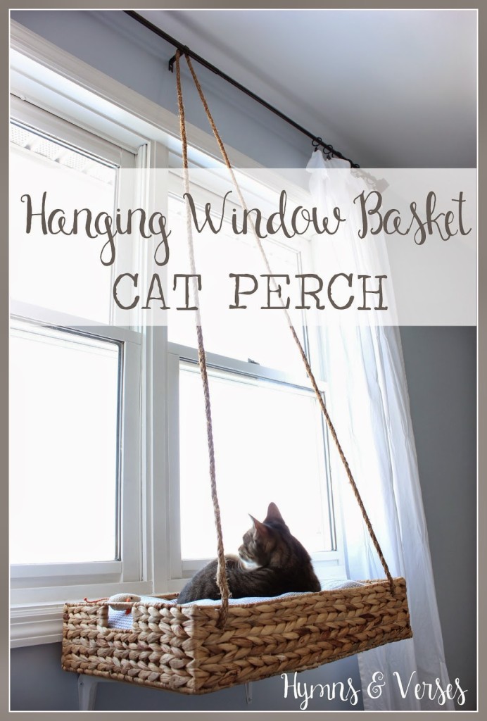 DIY Hanging Window Basket Cat Perch