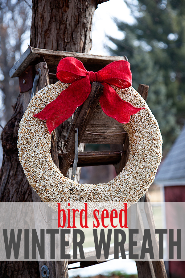 Bird Seed Winter Wreath Tutorial